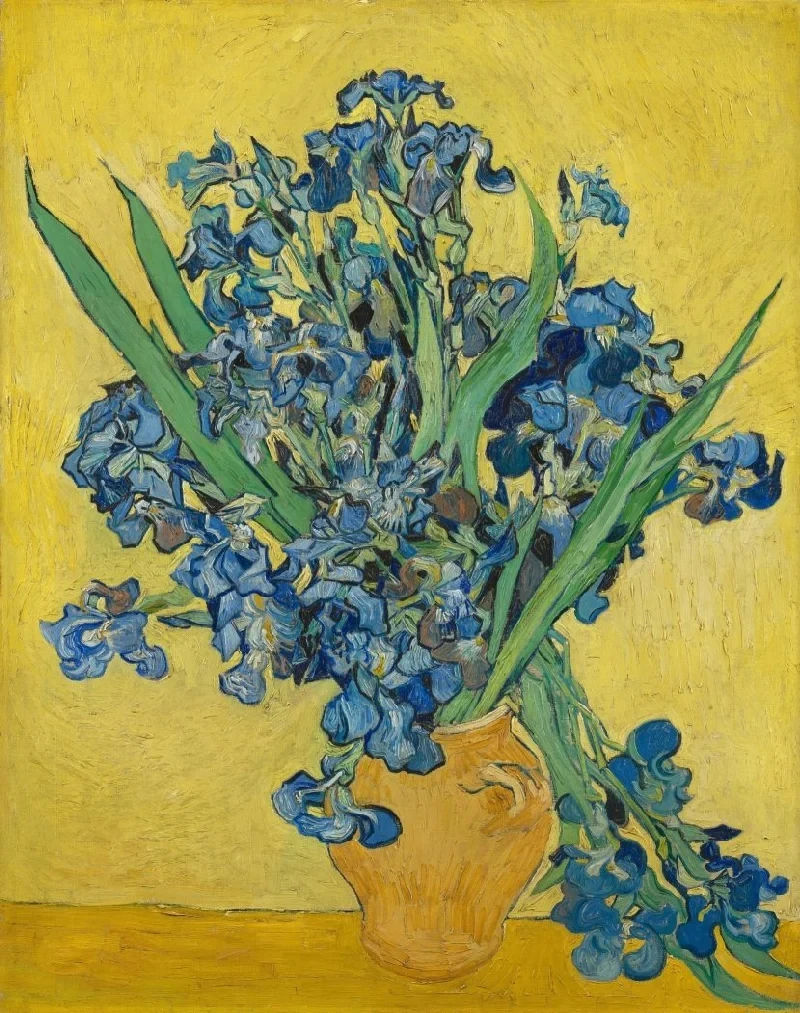 Irises